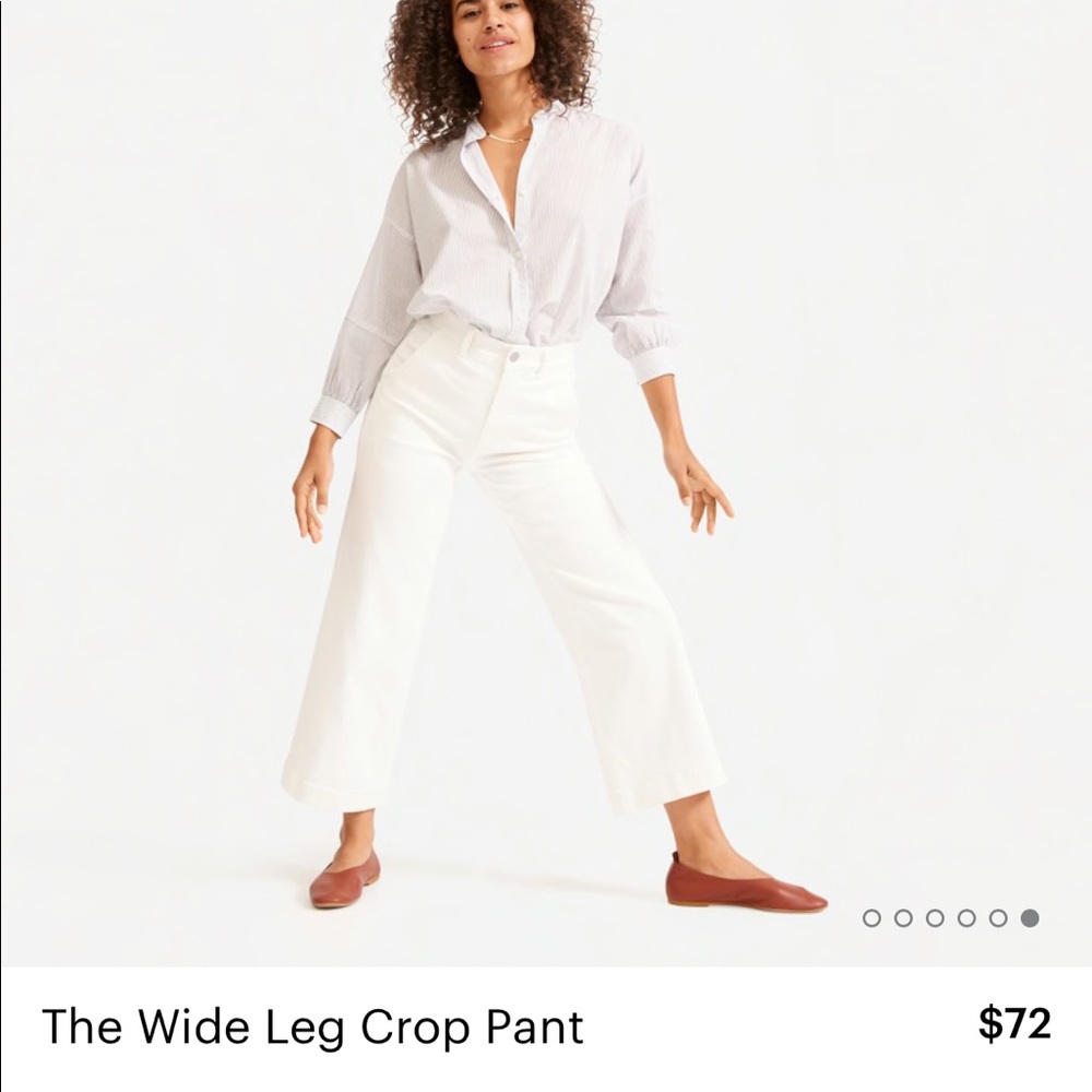 Everlane Wide Leg Crop Pant (00)